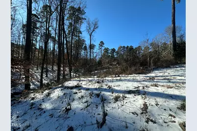 Tbd Quail Roost Drive, Semora, NC 27343 - Photo 22