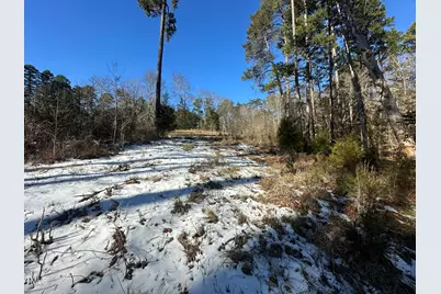 Tbd Quail Roost Drive, Semora, NC 27343 - Photo 24