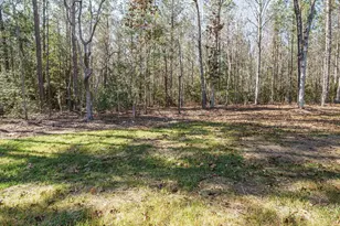 3050 Bennett Siler City Rd, Bennett, NC 27208 - Photo 30