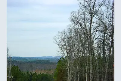 64 Barn Owl, Pittsboro, NC 27312 - Photo 26