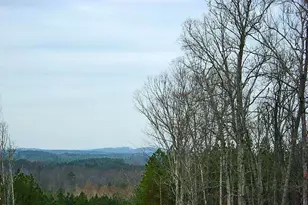 64 Barn Owl, Pittsboro, NC 27312 - Photo 26