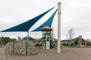 64 Barn Owl, Pittsboro, NC 27312 - Photo 20