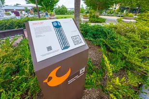 403 Carolyn Ct, Cary, NC 27511 - Photo 88