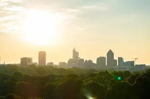 821 Hanbury Wy, Raleigh, NC 27607 - Photo 40