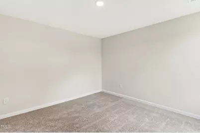 229 Palomo Place, Raeford, NC 28376 - Photo 28