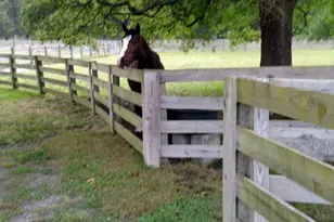 7027 Old 421 Rd, Liberty, NC 27298 - Photo 44