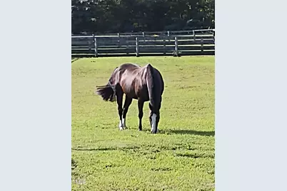 7027 Old 421 Road, Liberty, NC 27298 - Photo 70