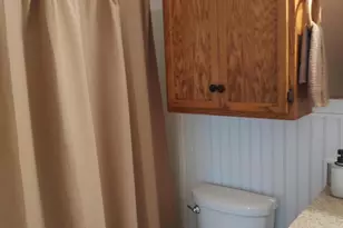 7027 Old 421 Rd, Liberty, NC 27298 - Photo 56