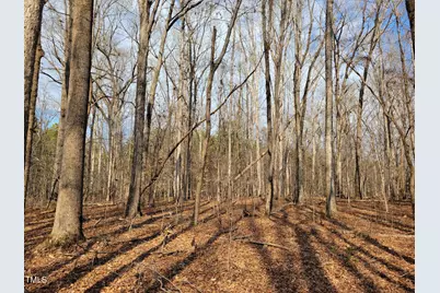 Tbd Siler City Snow Camp Road, Siler City, NC 27344 - Photo 22