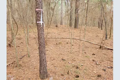 Tbd Siler City Snow Camp Road, Siler City, NC 27344 - Photo 30