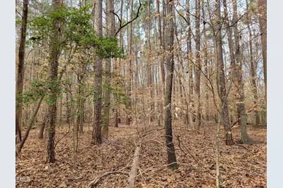 Tbd Siler City Snow Camp Road, Siler City, NC 27344 - Photo 42