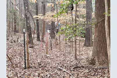 Tbd Siler City Snow Camp Road, Siler City, NC 27344 - Photo 46