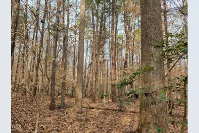 Tbd Siler City Snow Camp Road, Siler City, NC 27344 - Photo 40