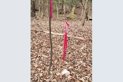 Tbd Siler City Snow Camp Road, Siler City, NC 27344 - Photo 50