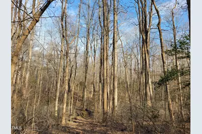 Tbd Siler City Snow Camp Road, Siler City, NC 27344 - Photo 20