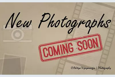 8122 McGuire Drive, Raleigh, NC 27616 - Photo 12