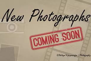 8122 McGuire Dr, Raleigh, NC 27616 - Photo 12