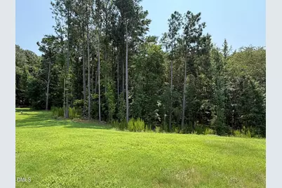 223 Magnolia Run Way, Benson, NC 27504 - Photo 14