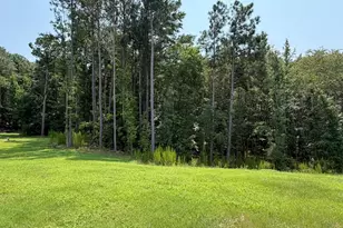 223 Magnolia Run Wy, Benson, NC 27504 - Photo 14