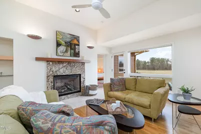 1018 Terrell Woods Lane, Chapel Hill, NC 27516 - Photo 52