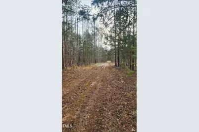 0 Northpointe Farms Trail, Efland, NC 27243 - Photo 18