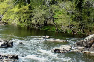 59 Riverstone Dr, Pittsboro, NC 27312 - Photo 10