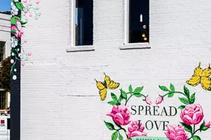 270 Sweetbay Tree Dr, Wendell, NC 27591 - Photo 30