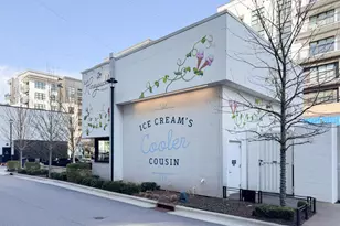 102 Anna Lake Ln, Cary, NC 27513 - Photo 76