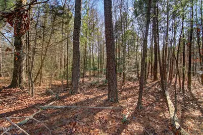 00 Bowman Bare Road, Pittsboro, NC 27312 - Photo 4
