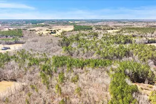 348 Raymond Tharrington Rd, Louisburg, NC 27549 - Photo 12