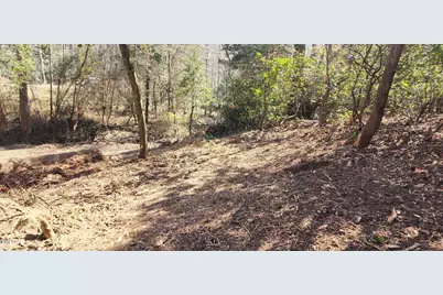 Lot 6 Saint Andrews Church Road, Sanford, NC 27332 - Photo 8