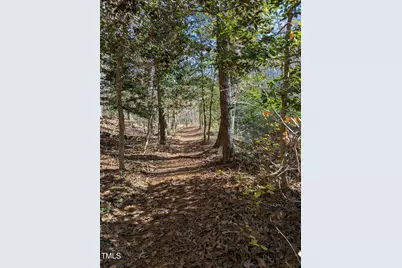 3905 McLean Chapel Church Road, Bunnlevel, NC 28323 - Photo 24