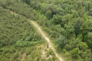 472 Eaton Ferry Rd, Littleton, NC 27850 - Photo 20