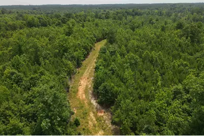 472 Eaton Ferry Road, Littleton, NC 27850 - Photo 70