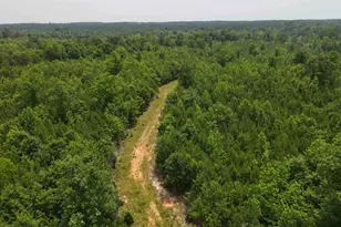 472 Eaton Ferry Rd, Littleton, NC 27850 - Photo 70