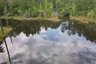 472 Eaton Ferry Rd, Littleton, NC 27850 - Photo 62