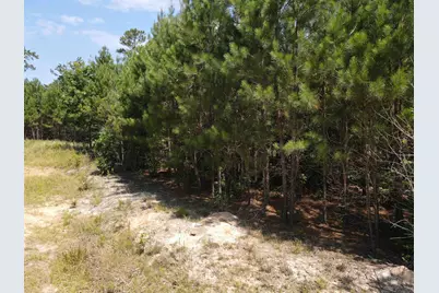 472 Eaton Ferry Road, Littleton, NC 27850 - Photo 22