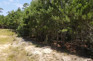 472 Eaton Ferry Rd, Littleton, NC 27850 - Photo 22