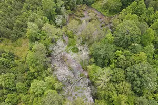 472 Eaton Ferry Rd, Littleton, NC 27850 - Photo 74