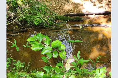 472 Eaton Ferry Road, Littleton, NC 27850 - Photo 50