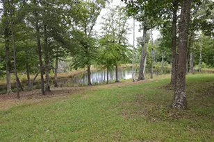 472 Eaton Ferry Rd, Littleton, NC 27850 - Photo 82