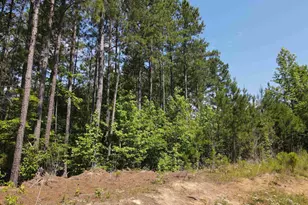 472 Eaton Ferry Rd, Littleton, NC 27850 - Photo 46