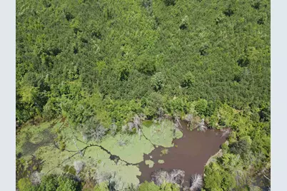 472 Eaton Ferry Road, Littleton, NC 27850 - Photo 28