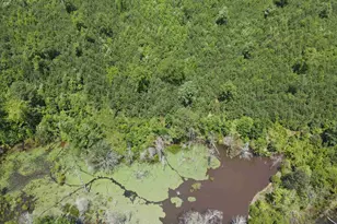 472 Eaton Ferry Rd, Littleton, NC 27850 - Photo 28