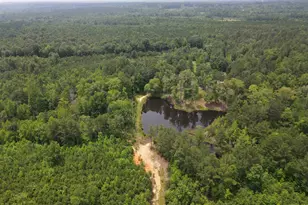 472 Eaton Ferry Rd, Littleton, NC 27850 - Photo 86