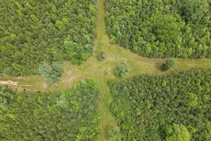 472 Eaton Ferry Rd, Littleton, NC 27850 - Photo 68