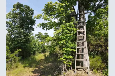 472 Eaton Ferry Road, Littleton, NC 27850 - Photo 52