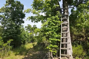 472 Eaton Ferry Rd, Littleton, NC 27850 - Photo 52