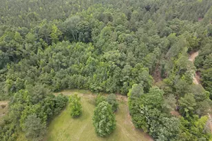 472 Eaton Ferry Rd, Littleton, NC 27850 - Photo 80