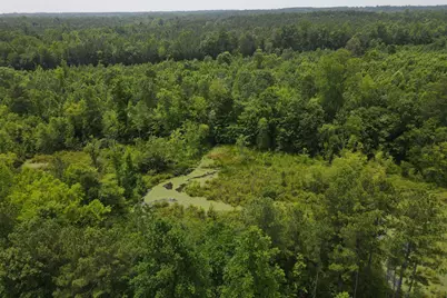 472 Eaton Ferry Road, Littleton, NC 27850 - Photo 72